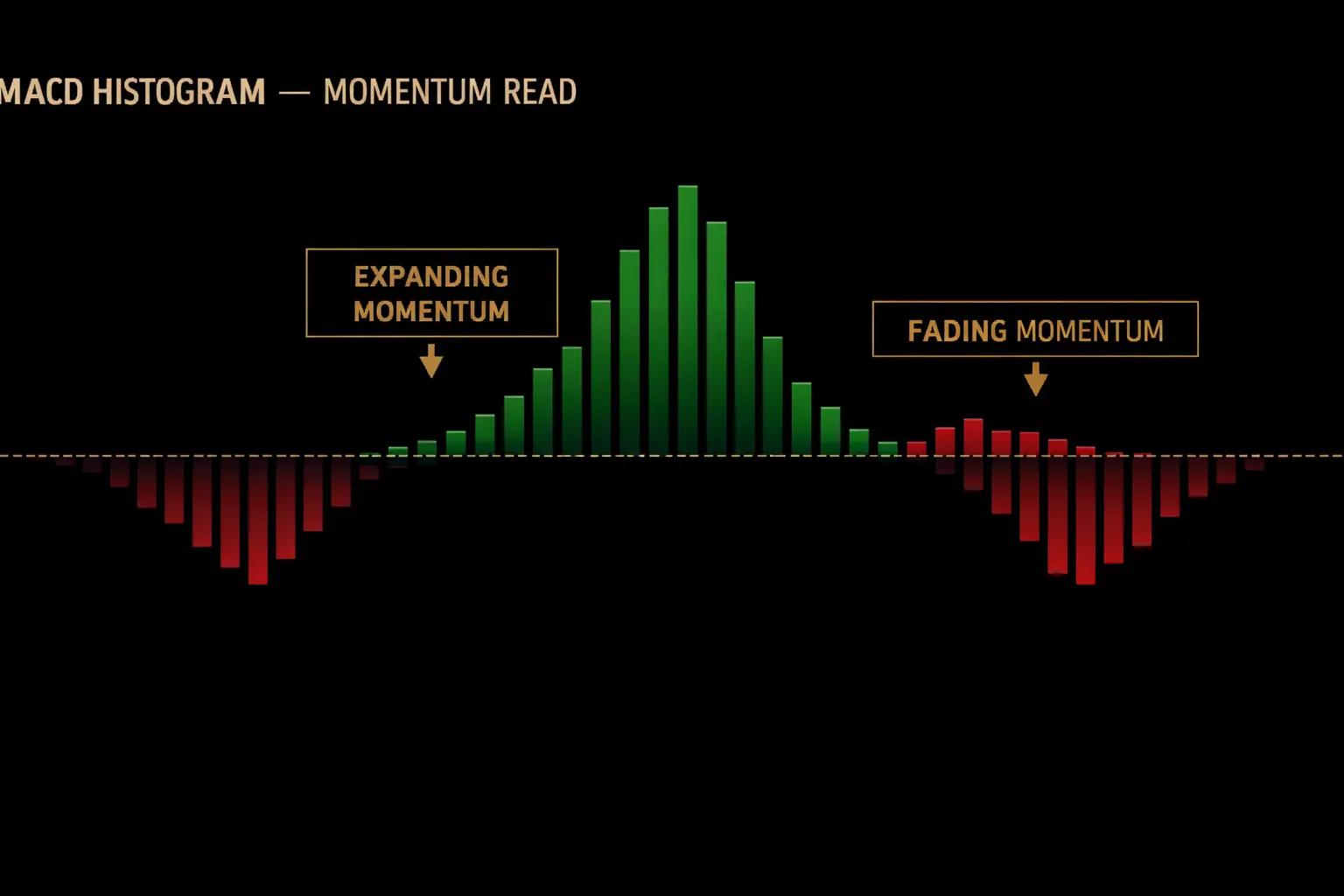 MACD histogram showing expanding and fading momentum through bar height changes